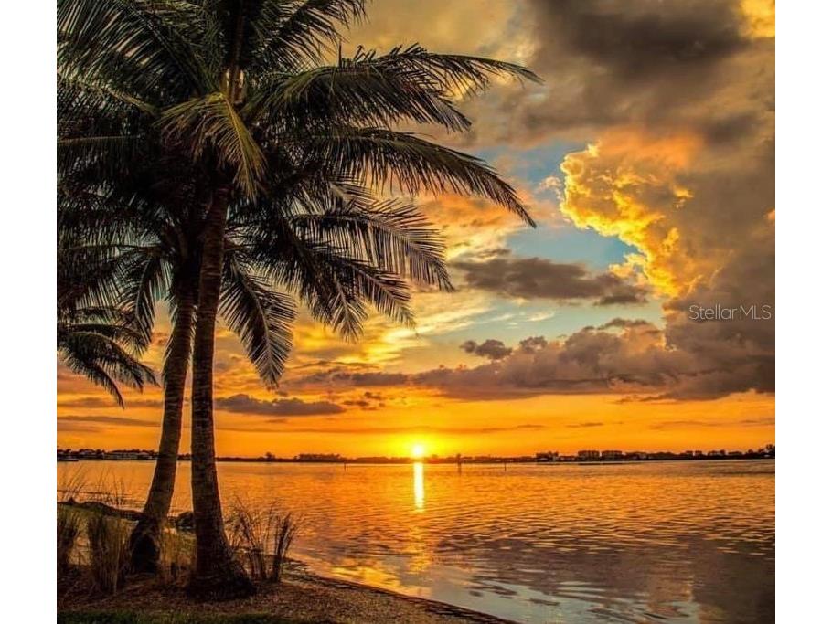 5217 81st Street N #14 Saint Petersburg FL 33709 A4667035 image18