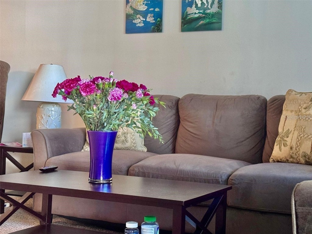 5217 81st Street N #3 Saint Petersburg FL 33709 O6361092 image7