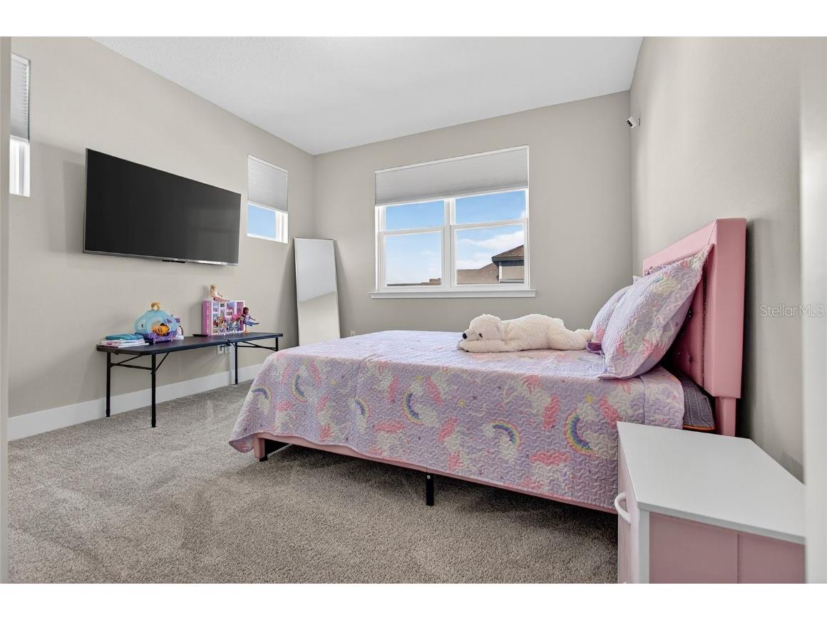 5217 Citrus Leaf Boulevard Winter Garden FL 34787 O6363382 image19