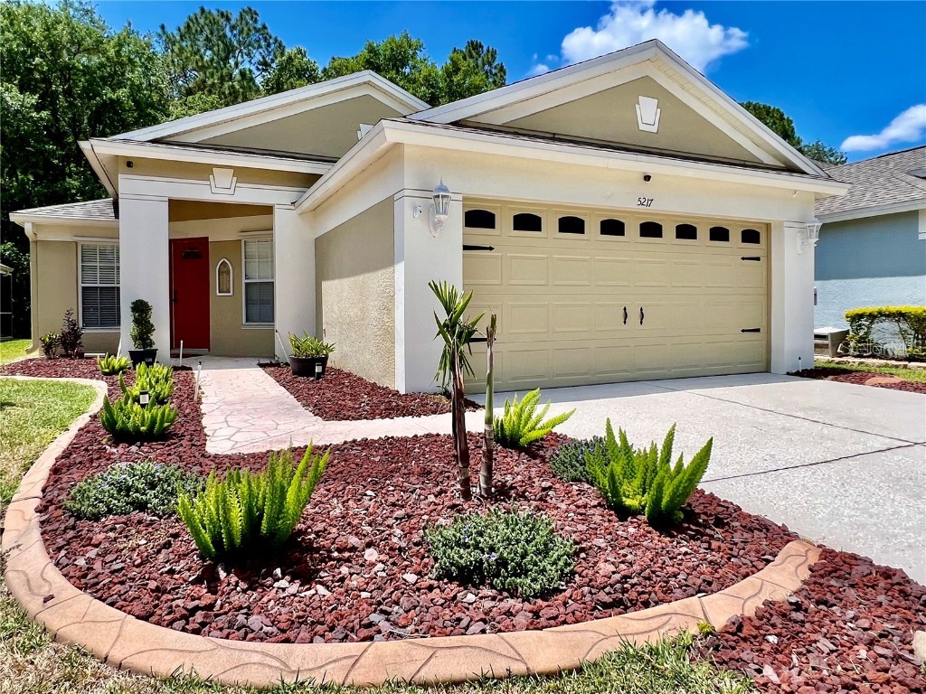 5217 Gato Del Sol Circle Wesley Chapel FL 33544 T3453156 image1