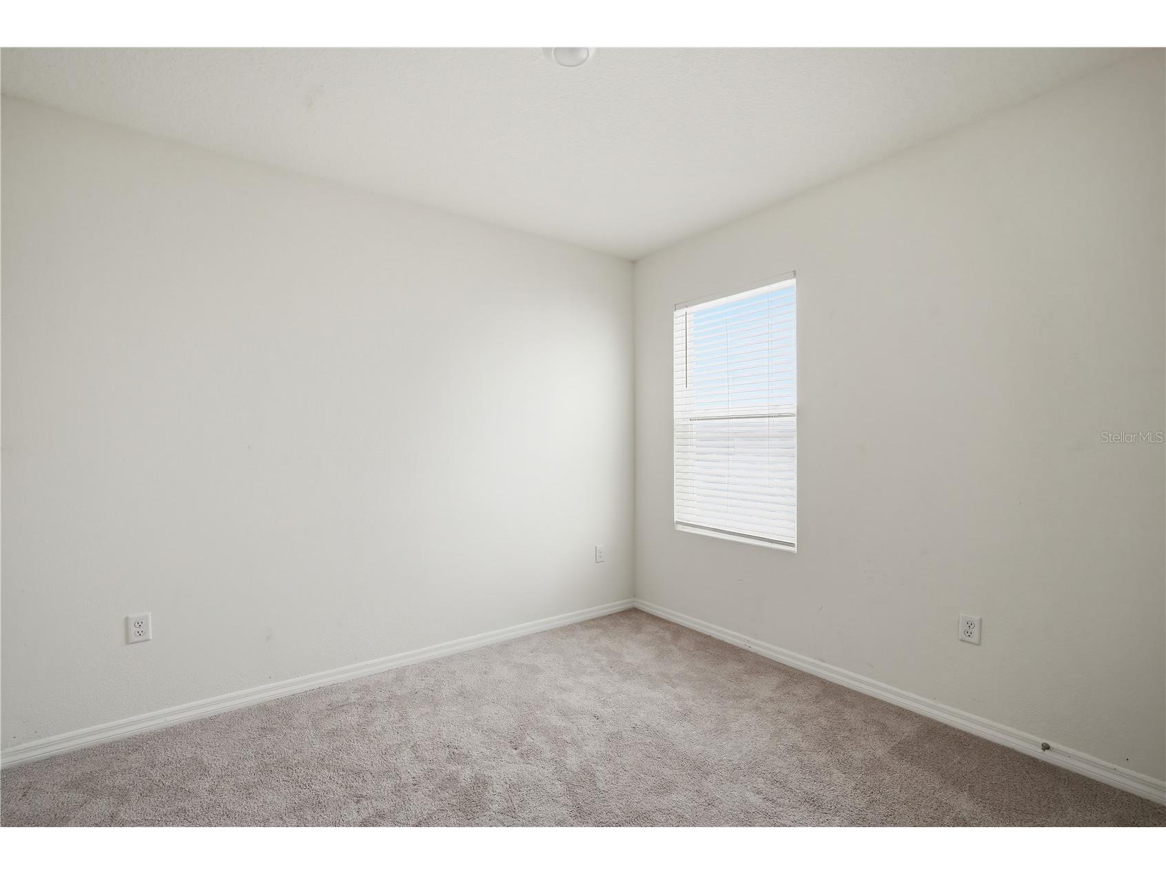 5217 Hillside Meadow Place Tampa FL 33610 TB8497556 image11
