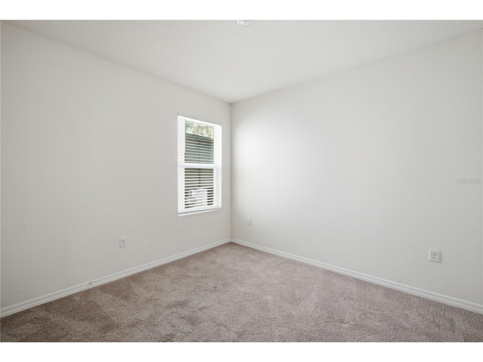 5217 Hillside Meadow Place Tampa FL 33610 TB8497556 image12