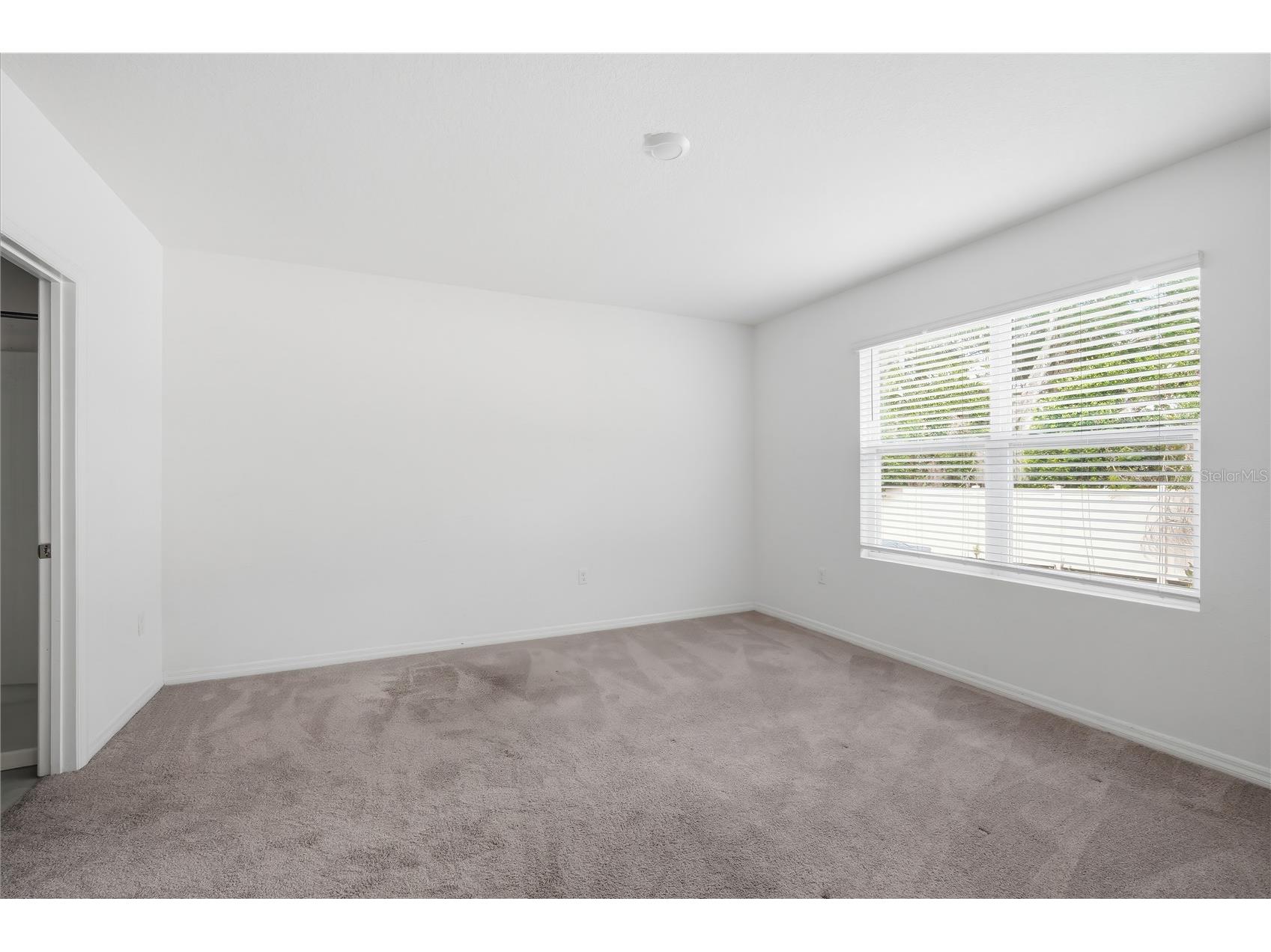 5217 Hillside Meadow Place Tampa FL 33610 TB8497556 image14