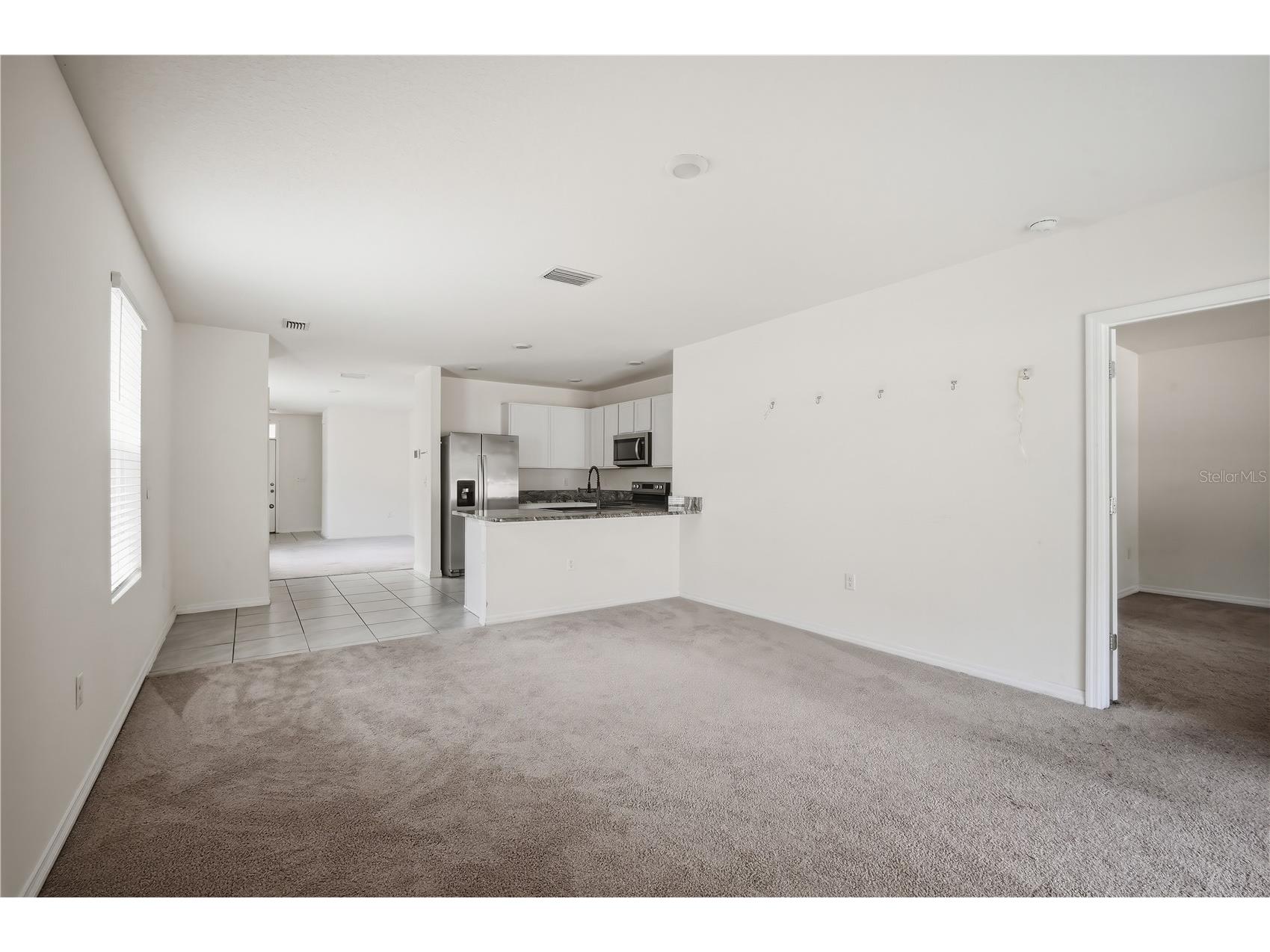 5217 Hillside Meadow Place Tampa FL 33610 TB8497556 image7