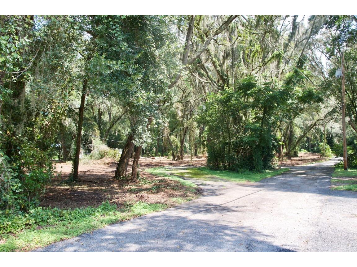 5217 Pine Street Seffner FL 33584 T3330051 image1