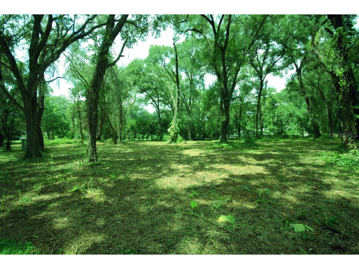 5217 Pine Street Seffner FL 33584 T3404345 image1