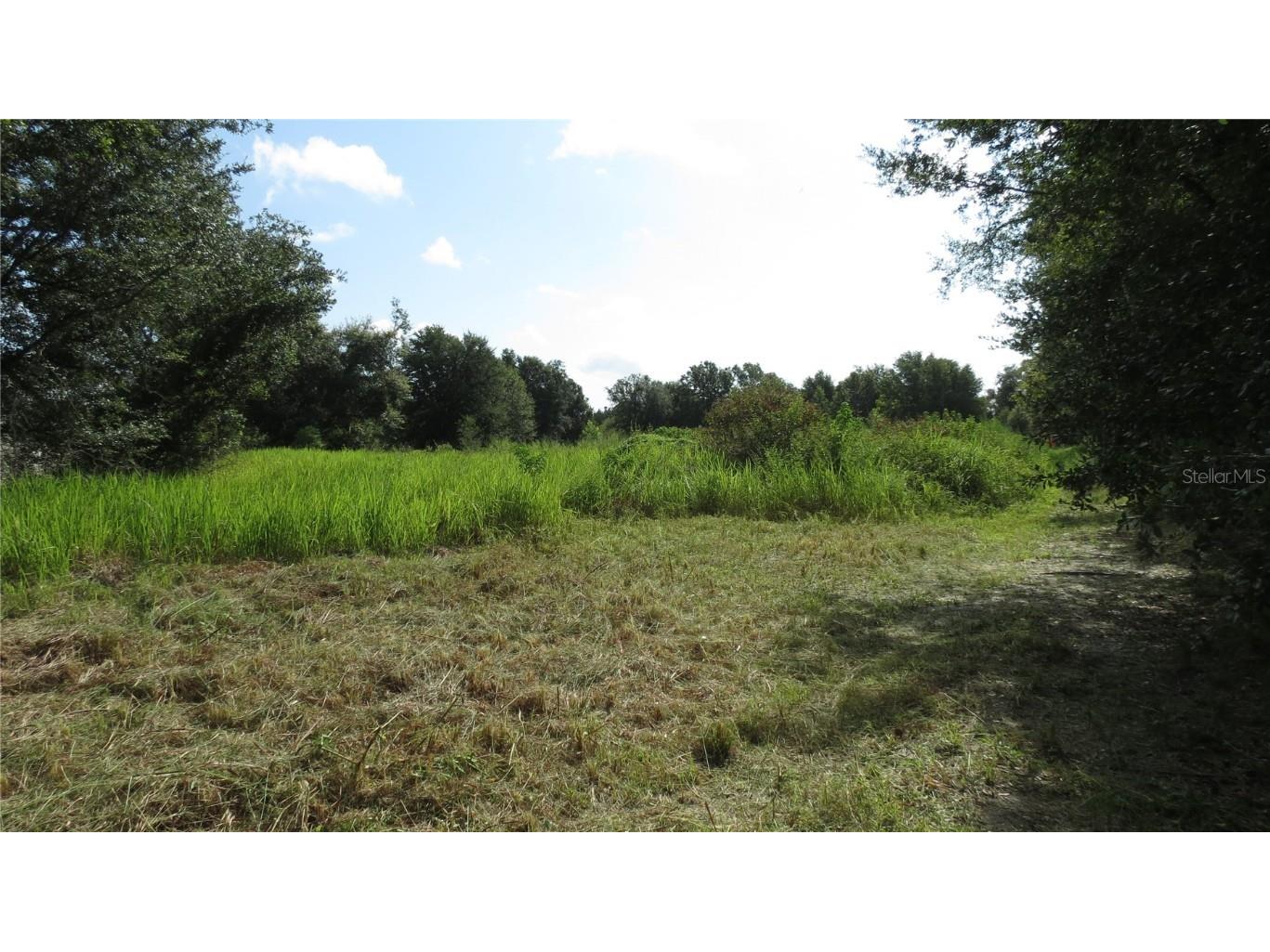 5218 Clarence Gordon Junior Road Plant City FL 33567 A4579696 image1