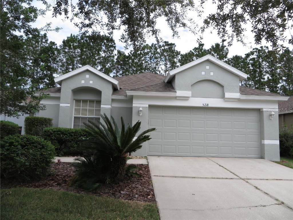 5218 Gato Del Sol Circle Wesley Chapel FL 33544 T3446326 image1
