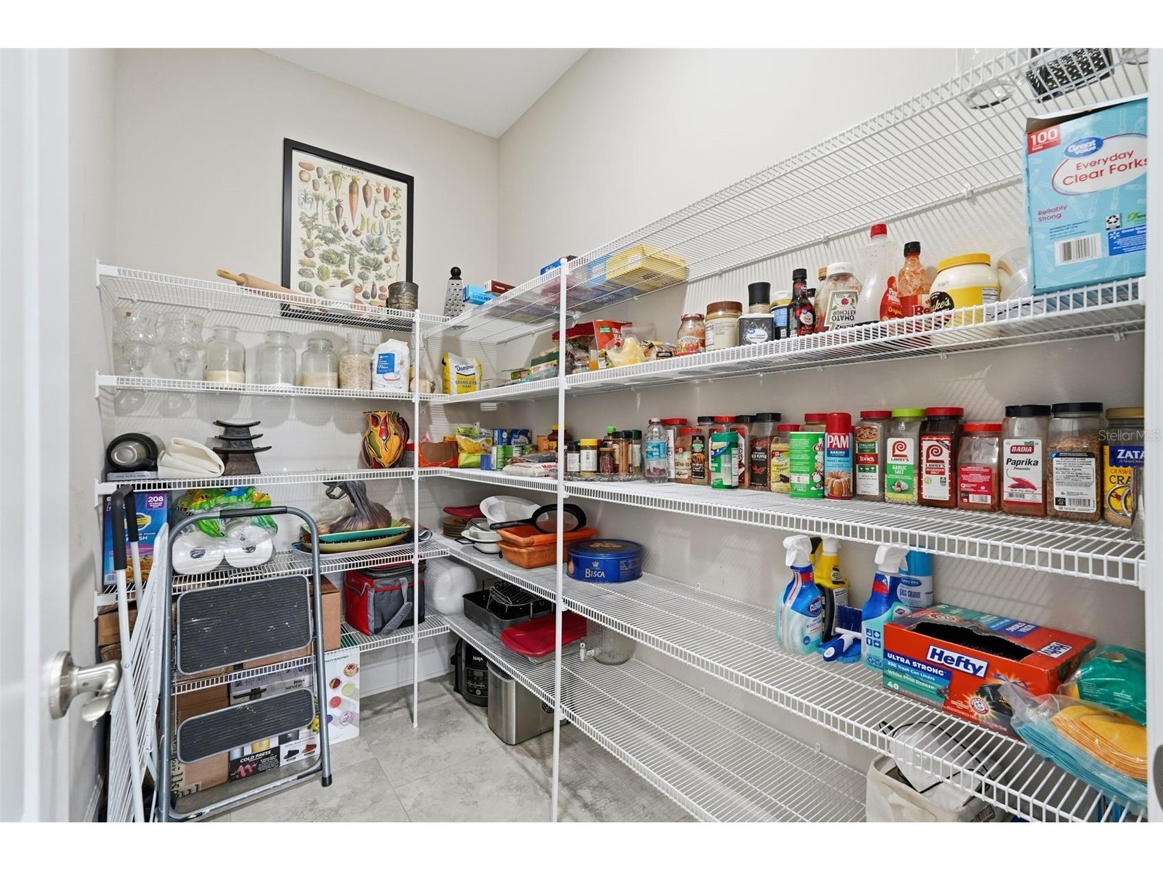 5218 Lake Venice Drive Wimauma FL 33598 TB8448695 image22