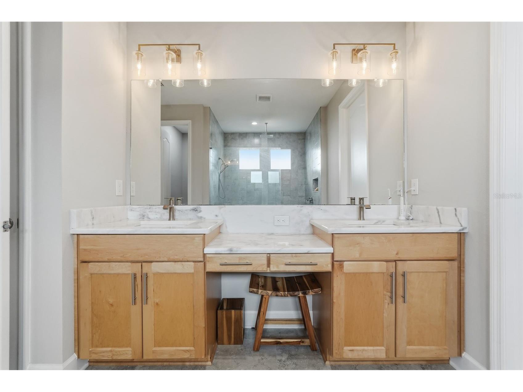 5218 Lake Venice Drive Wimauma FL 33598 TB8448695 image33