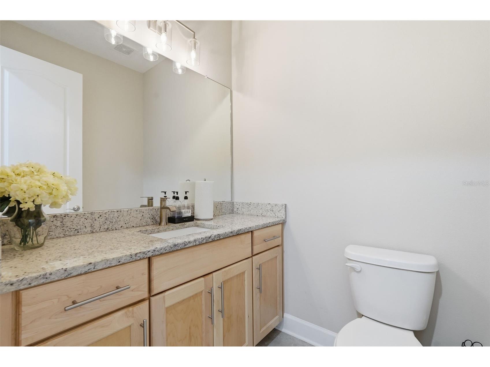 5218 Lake Venice Drive Wimauma FL 33598 TB8448695 image41