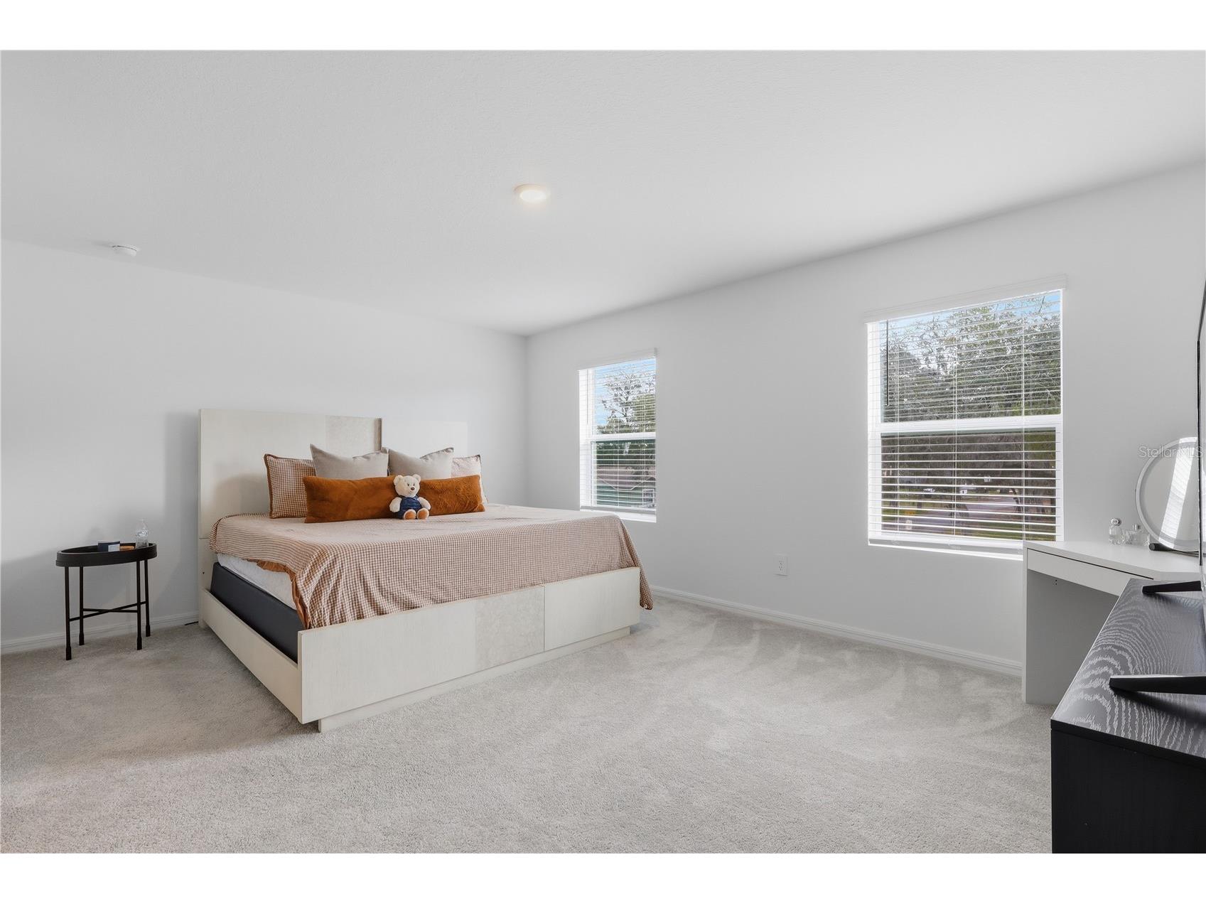 5218 Meyer Bessie Street Zephyrhills FL 33541 TB8502425 image17