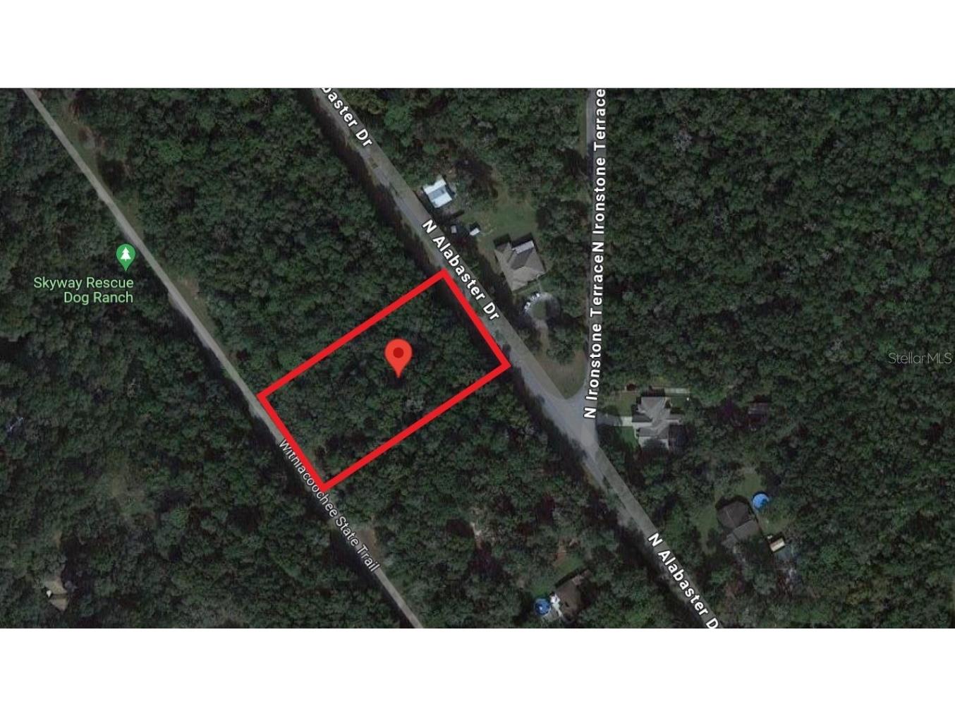 5218 N Alabaster Drive Hernando FL 34442 T3511456 image1