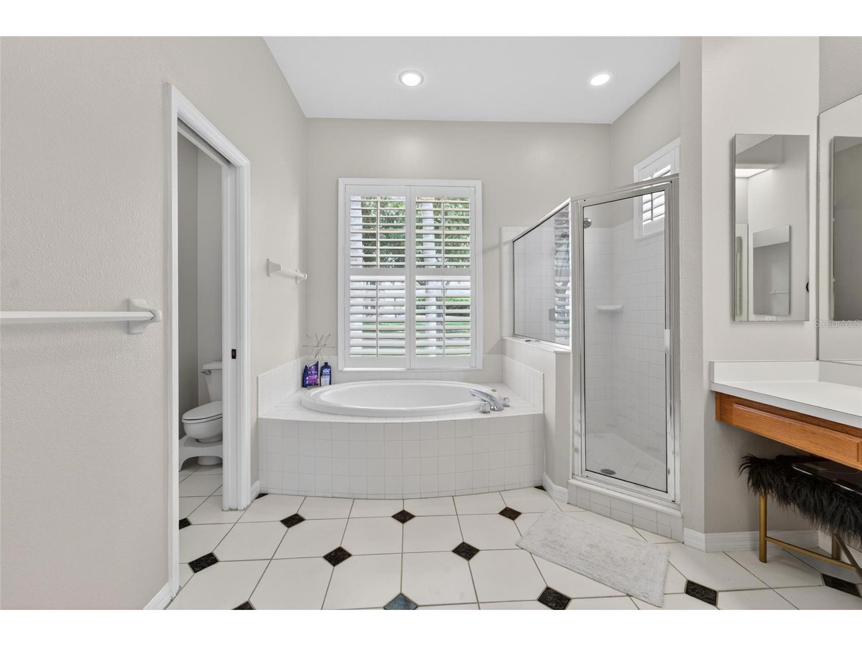 5218 Twin Creeks Drive Valrico FL 33596 TB8503127 image23