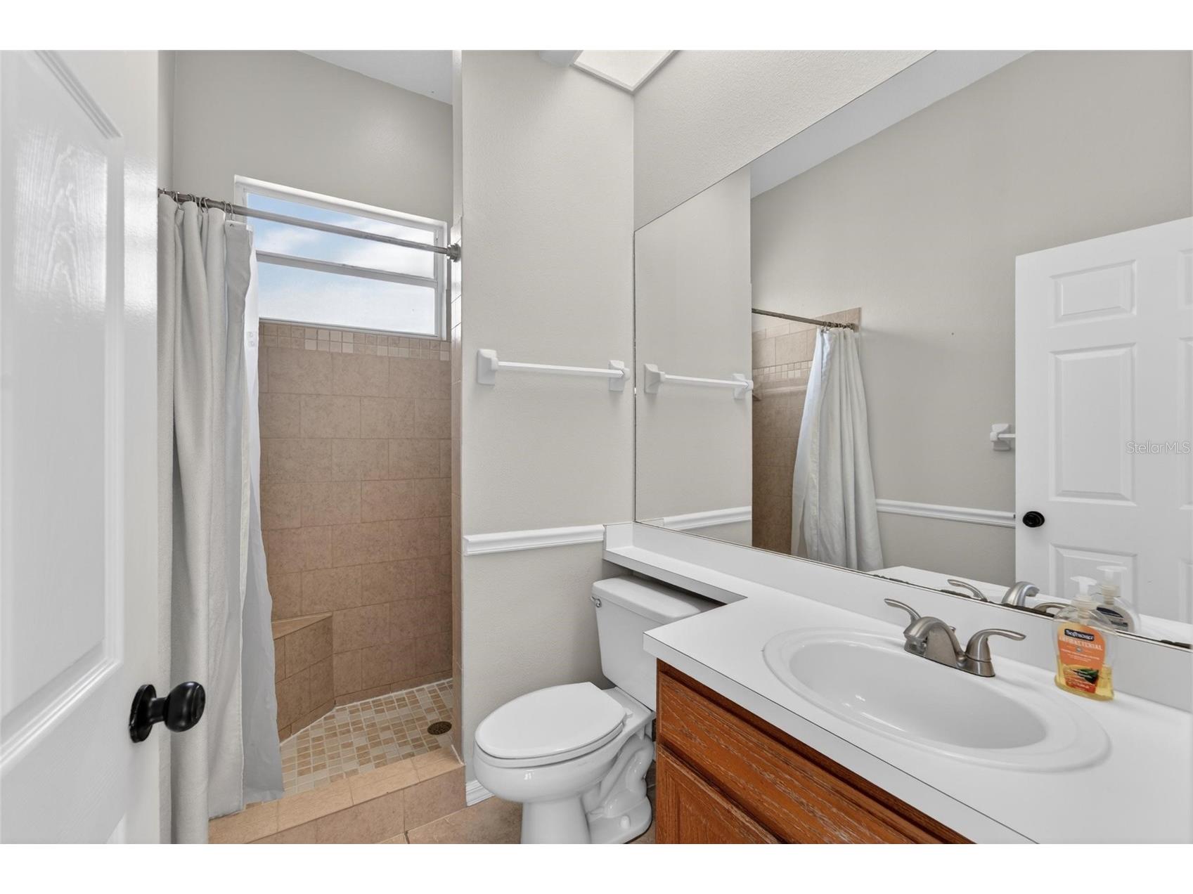 5218 Twin Creeks Drive Valrico FL 33596 TB8503127 image32