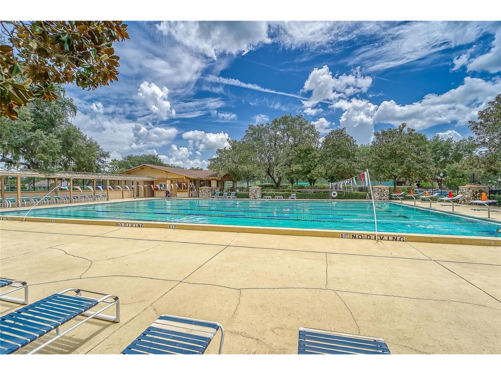 5218 Twin Creeks Drive Valrico FL 33596 TB8503127 image65