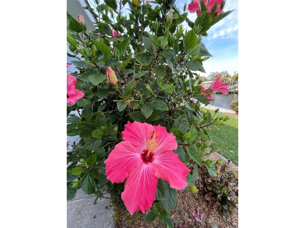 5219 Bimini Drive Bradenton FL 34210 O6361931 image33