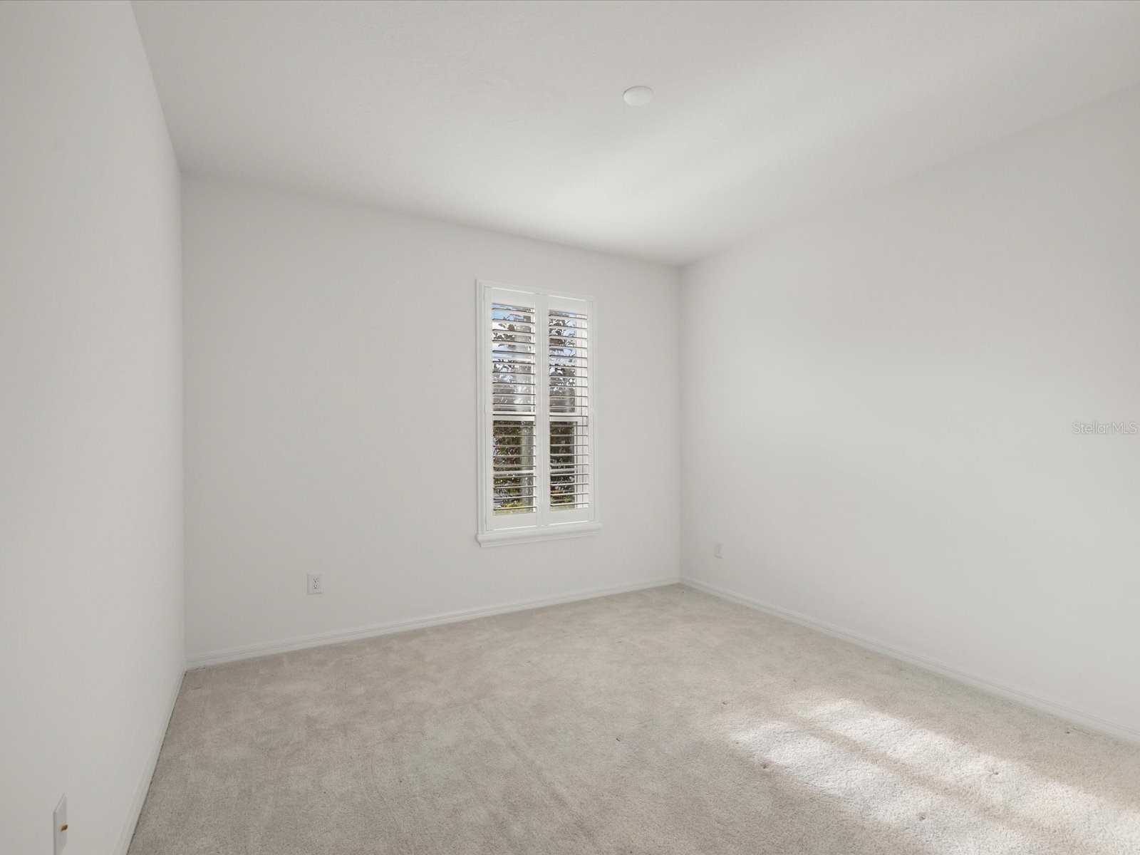 5219 Cappleman Loop Brooksville FL 34601 W7881669 image10