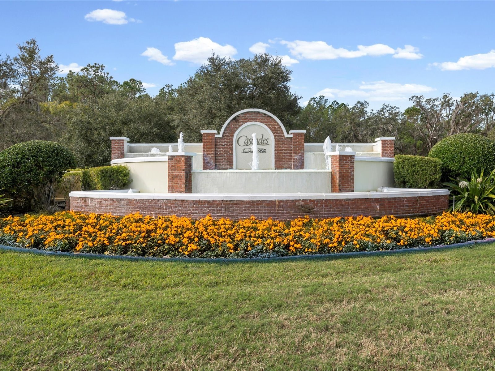 5219 Cappleman Loop Brooksville FL 34601 W7881669 image41