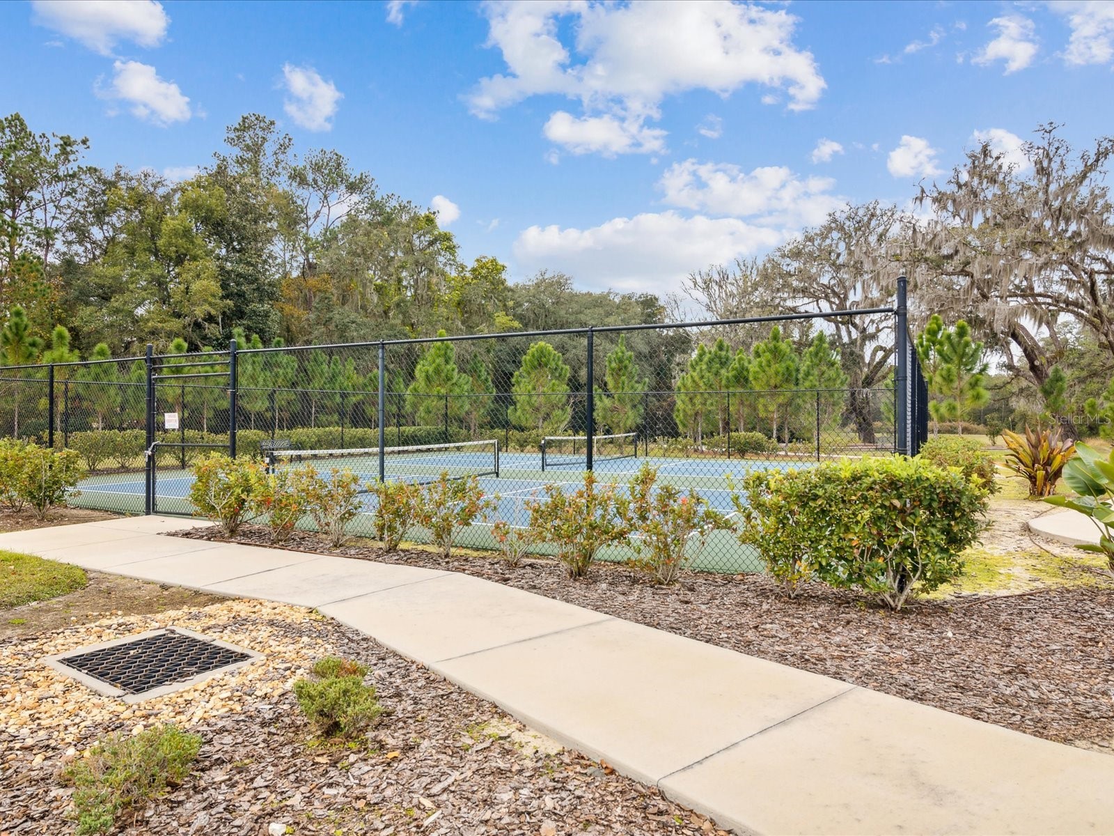 5219 Cappleman Loop Brooksville FL 34601 W7881669 image51