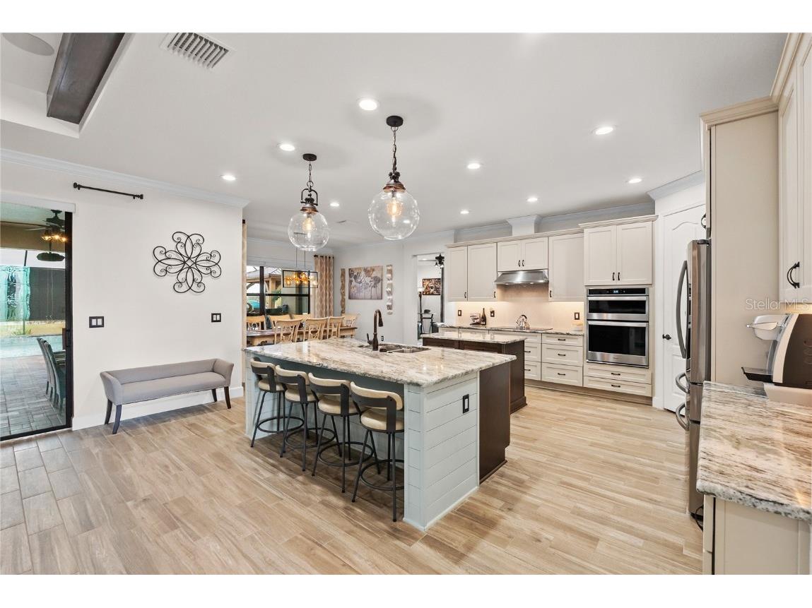 5219 Lake Venice Drive Wimauma FL 33598 O6363032 image10