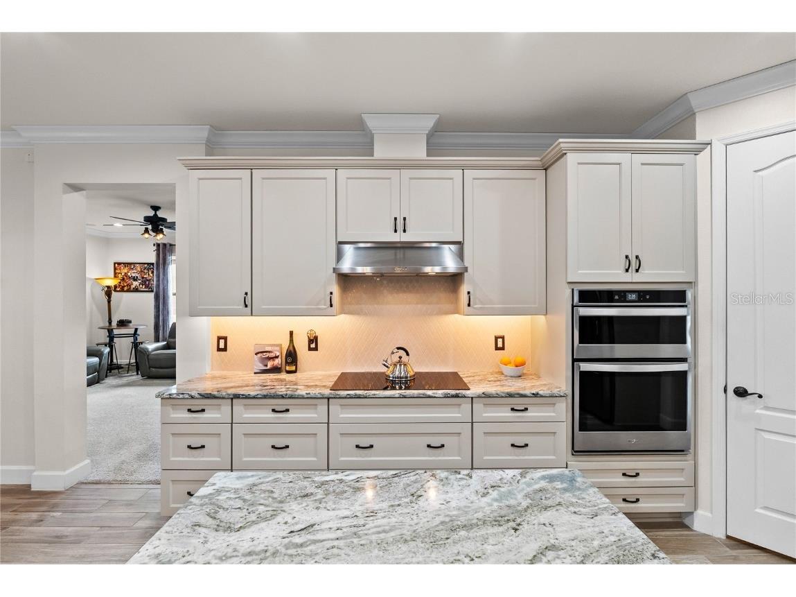 5219 Lake Venice Drive Wimauma FL 33598 O6363032 image13