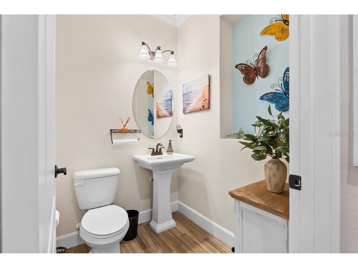 5219 Lake Venice Drive Wimauma FL 33598 O6363032 image27