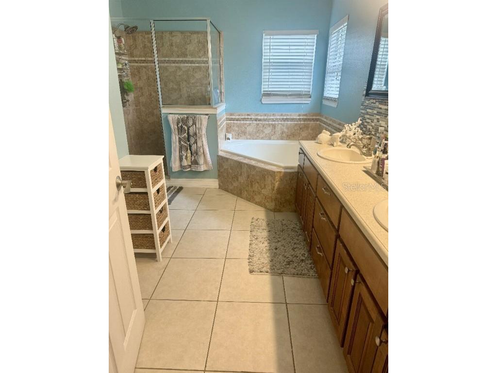 5219 Mystic Point Court Orlando FL 32812 TB8441514 image9