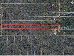 522 Hamilton Drive Orlando FL 32833 O6334087 image3