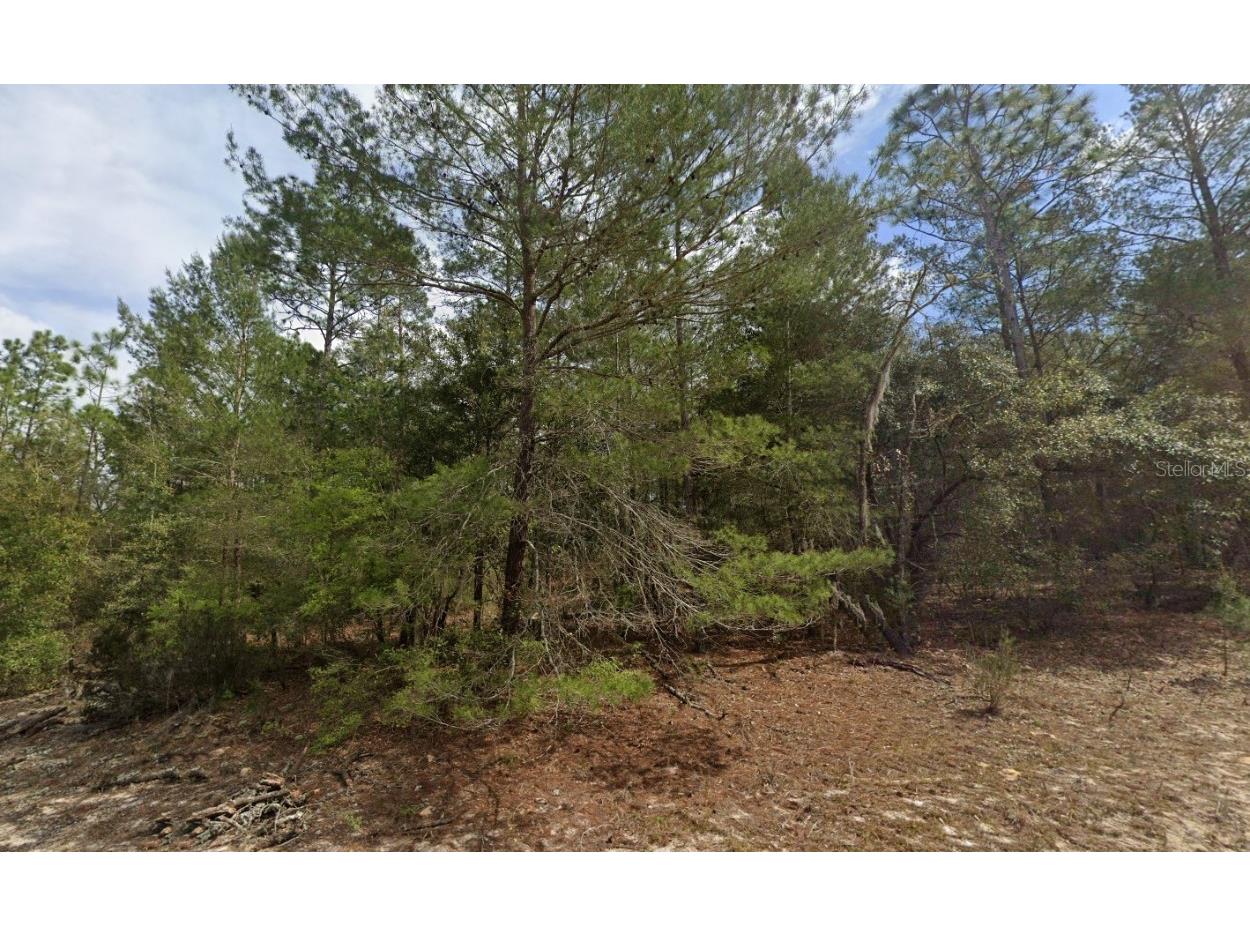 522 Janet Avenue Interlachen FL 32148 OK225599 image1