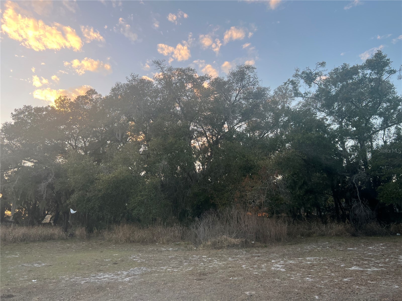 522 Palmetto Street Eustis FL 32726 G5108155 image1