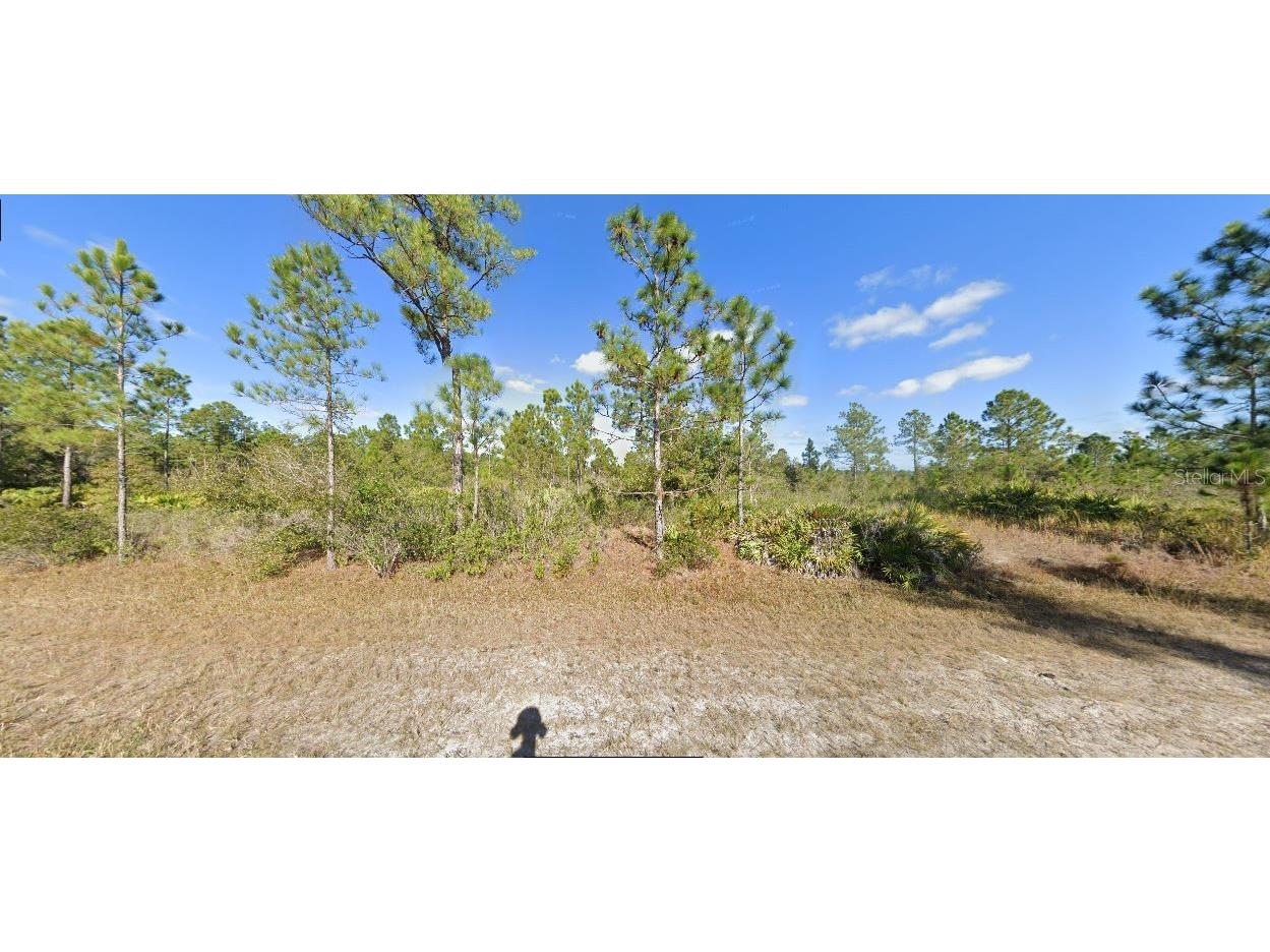 522 Tropicana Drive Indian Lake Estates FL 33855 O6229478 image2