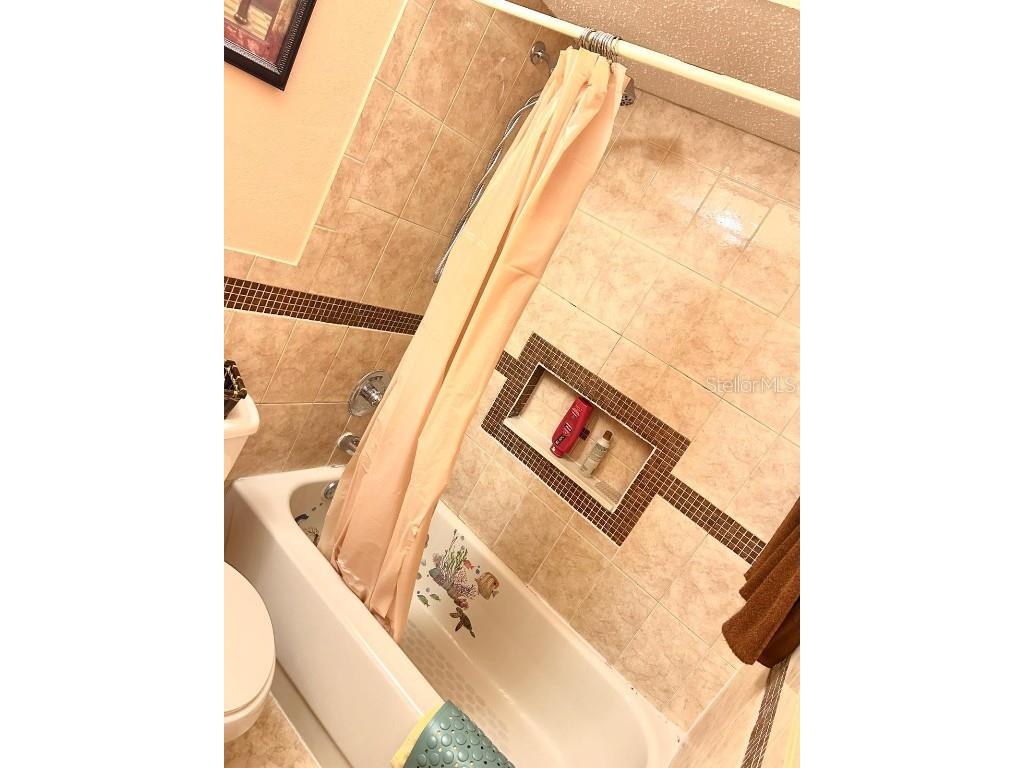 522 Wynnwood Drive Brandon FL 33511 TB8451271 image29