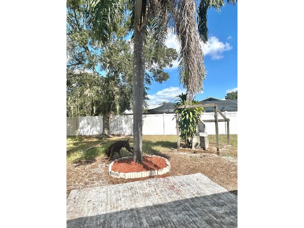 522 Wynnwood Drive Brandon FL 33511 TB8451271 image49