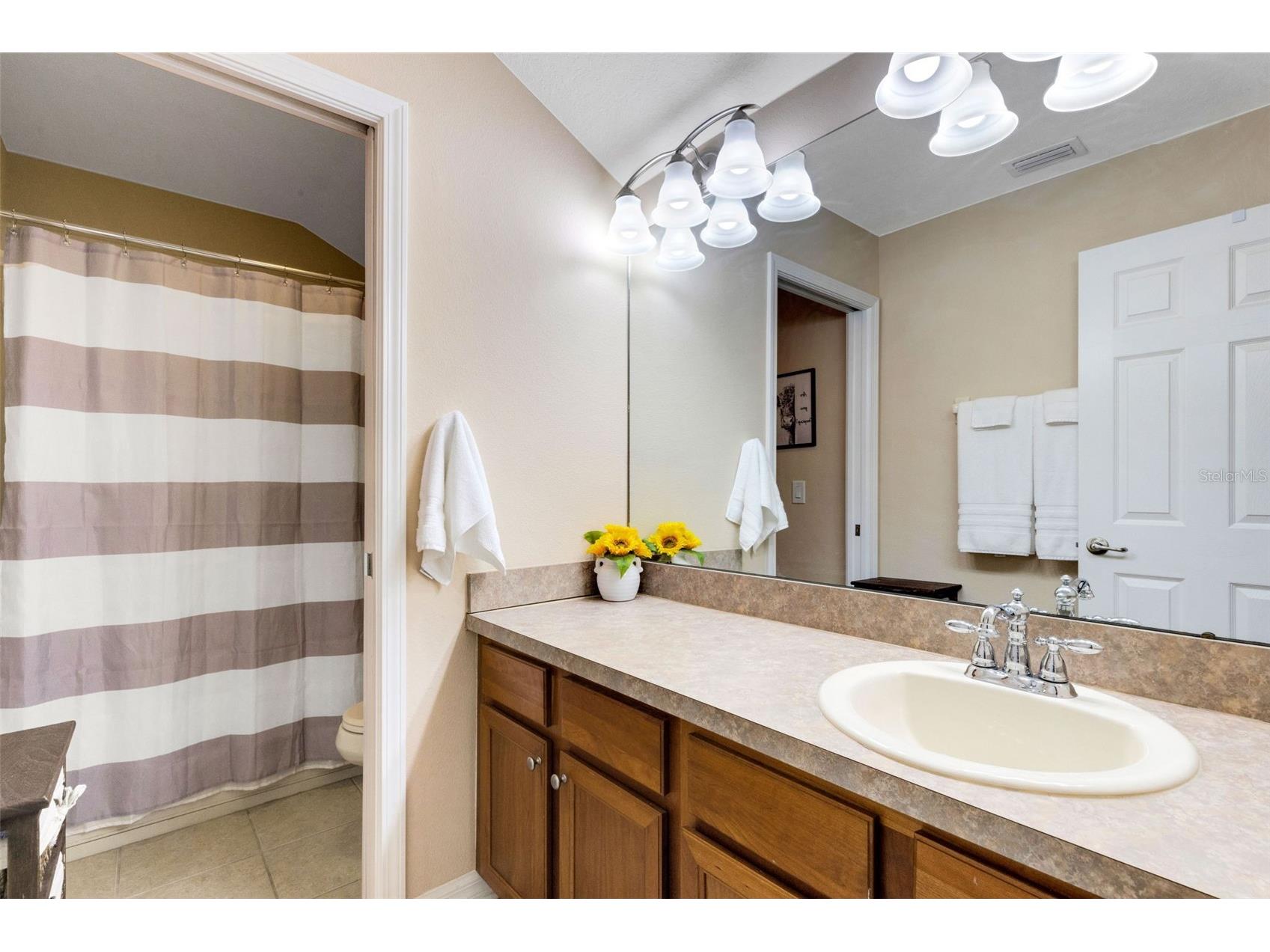 5220 119th Terrace E Parrish FL 34219 A4676769 image25