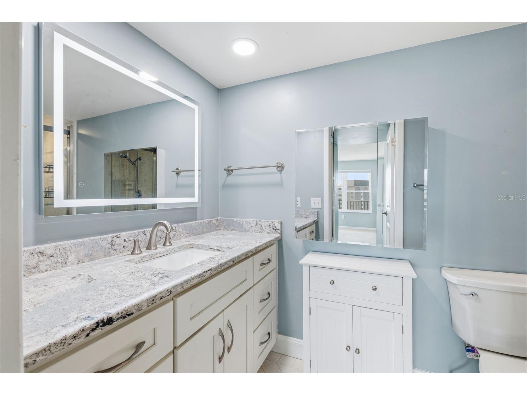 5220 Brittany Dr S #901 Saint Petersburg FL 33715 TB8501715 image20