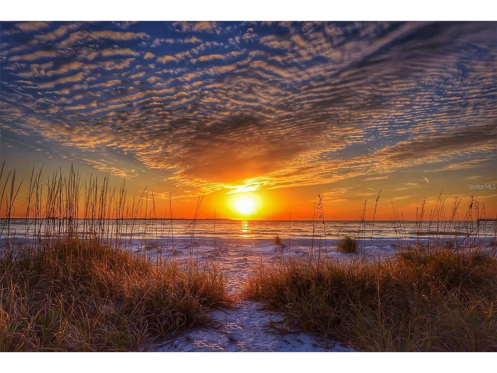 5220 Brittany Drive S #1003 Saint Petersburg FL 33715 TB8448530 image3