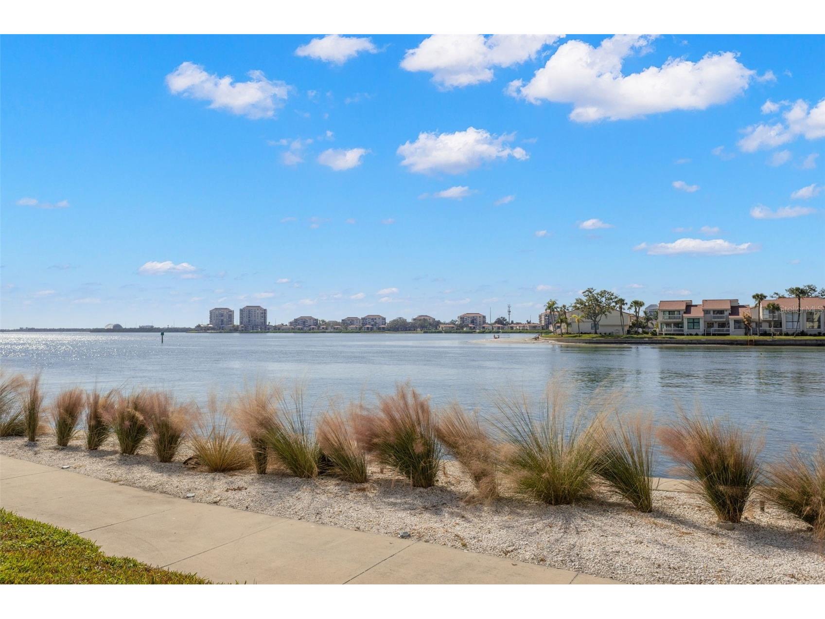 5220 Brittany Drive S #1003 Saint Petersburg FL 33715 TB8448530 image34