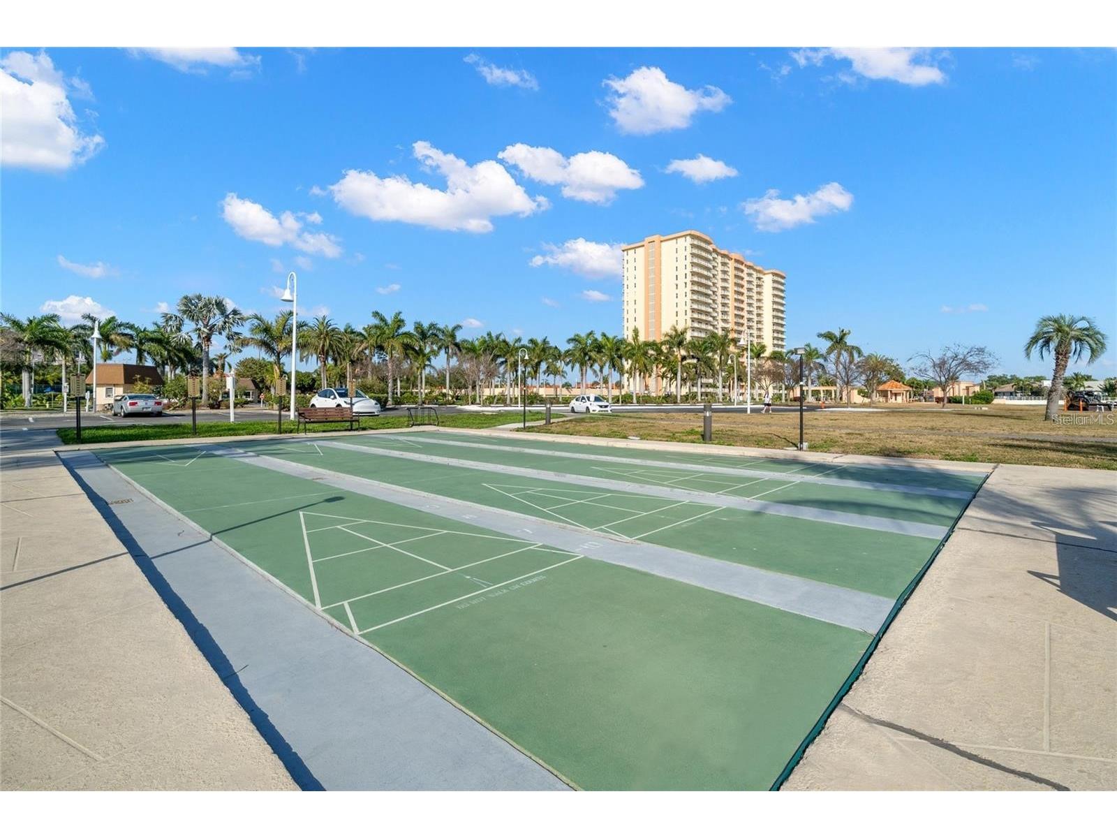 5220 Brittany Drive S #1003 Saint Petersburg FL 33715 TB8448530 image43
