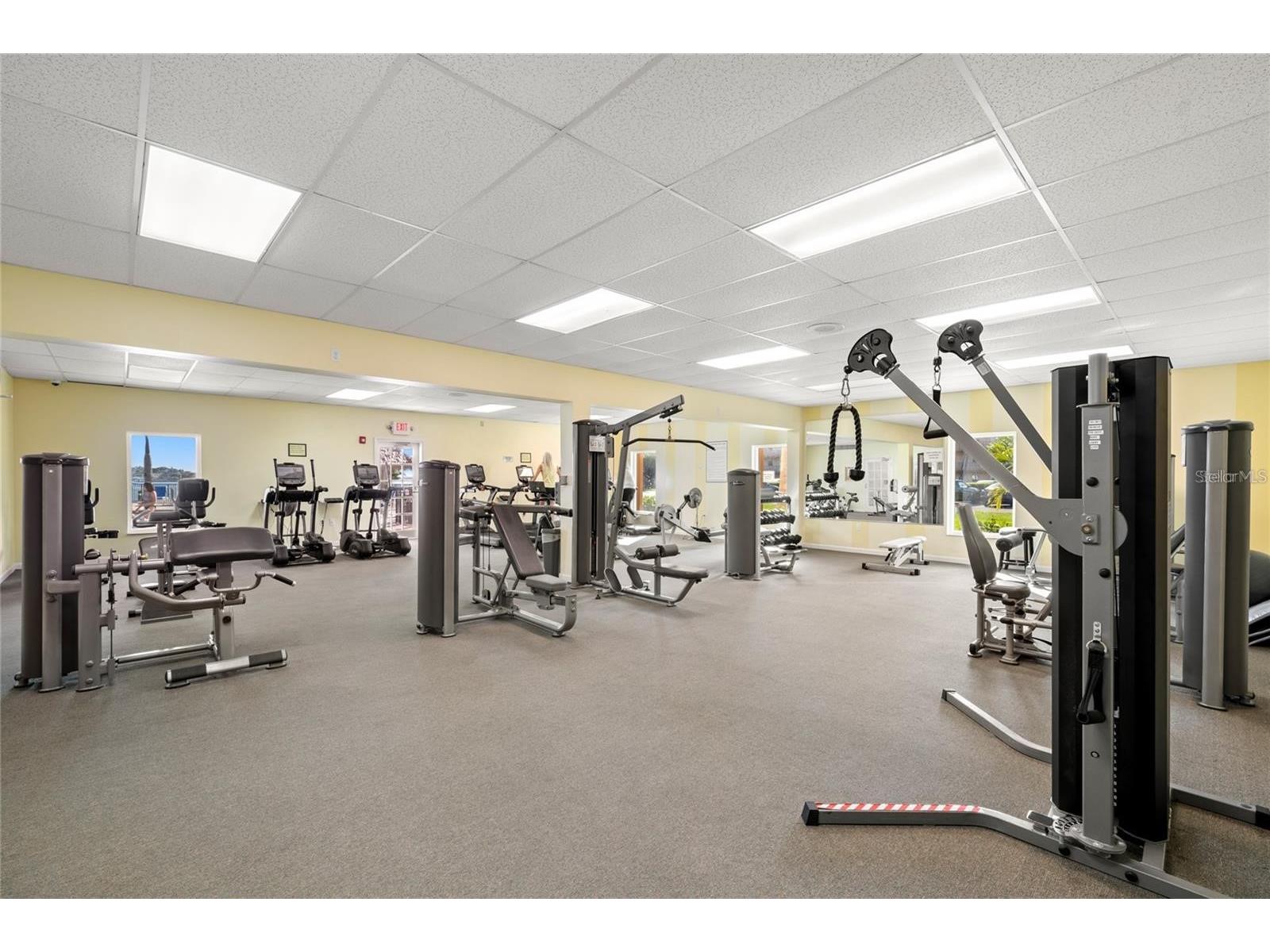 5220 Brittany Drive S #1003 Saint Petersburg FL 33715 TB8448530 image48