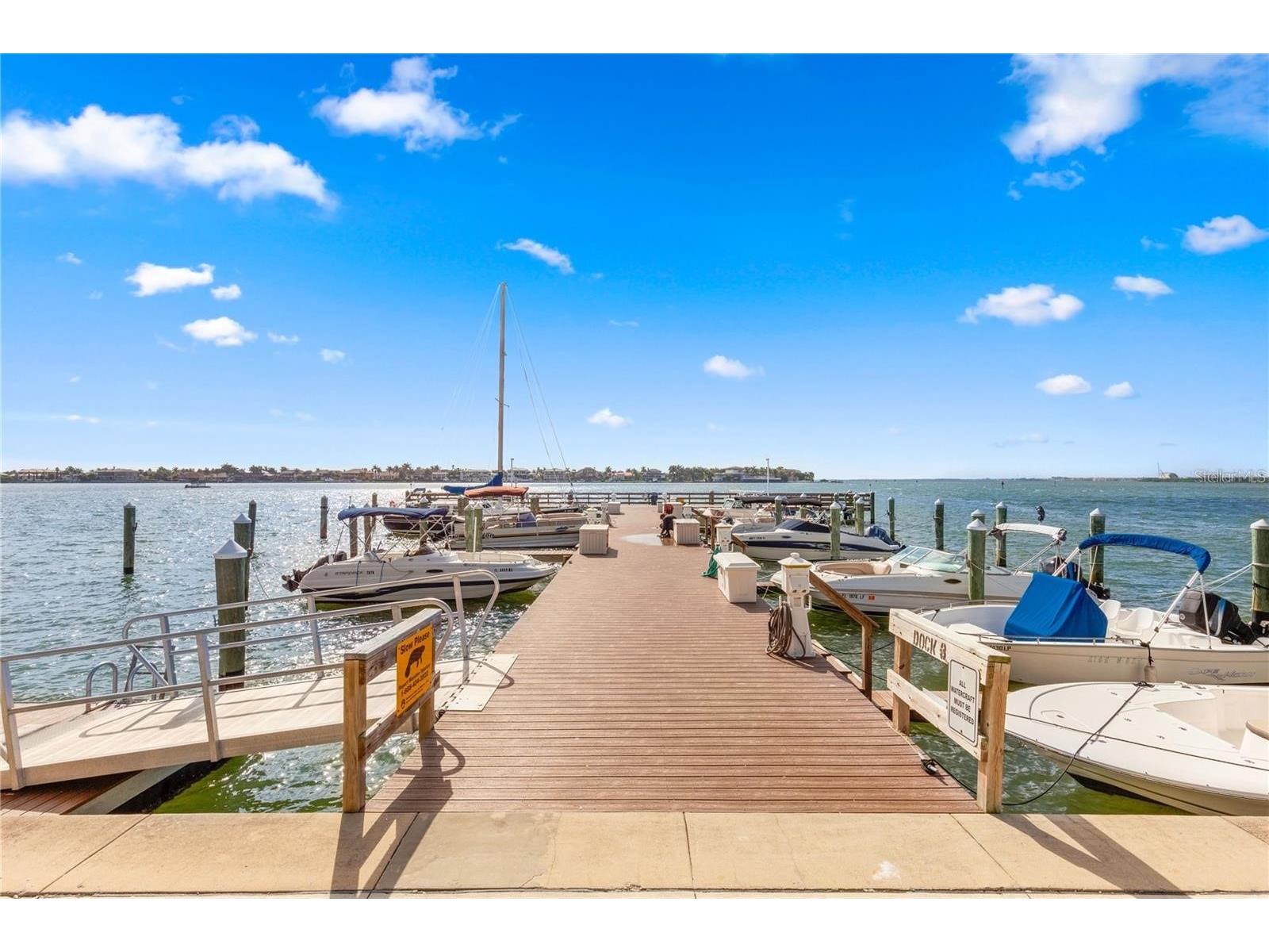 5220 Brittany Drive S #1003 Saint Petersburg FL 33715 TB8448530 image49