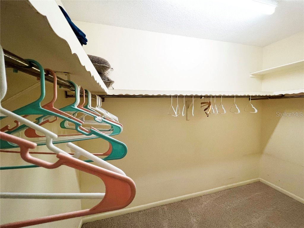 5220 Brittany Drive S #1101 Saint Petersburg FL 33715 TB8406767 image11