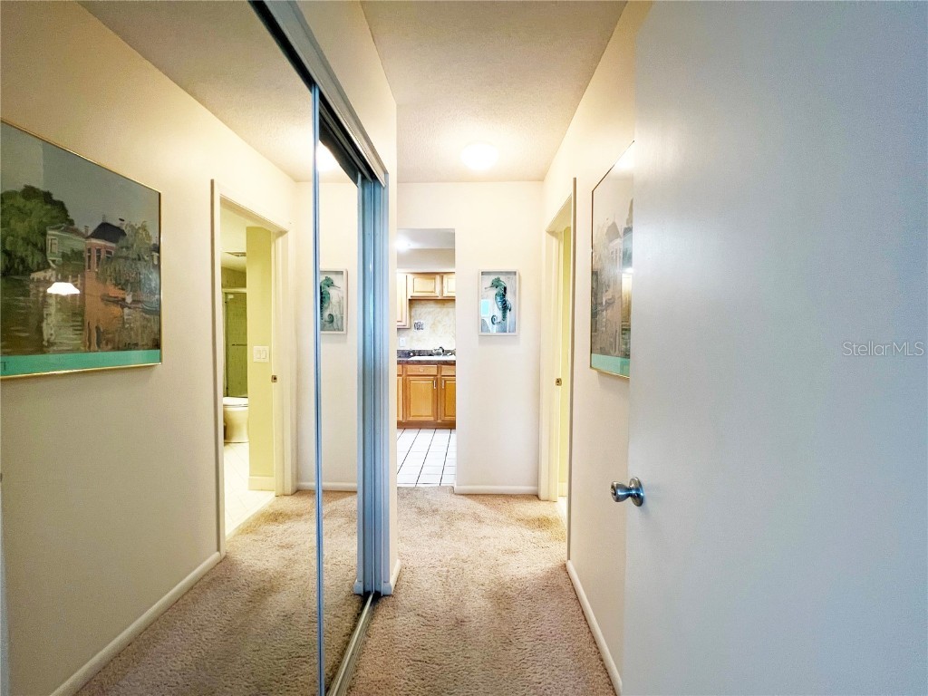 5220 Brittany Drive S #1101 Saint Petersburg FL 33715 TB8406767 image14