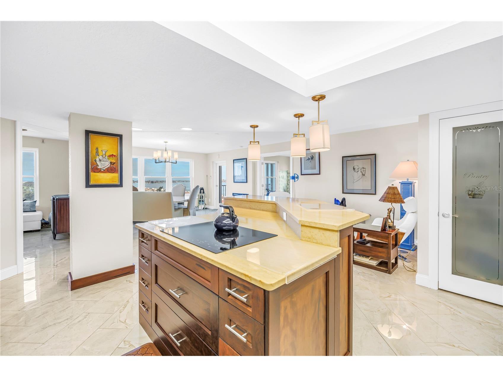 5220 Brittany Drive S #1510 Saint Petersburg FL 33715 TB8460563 image7