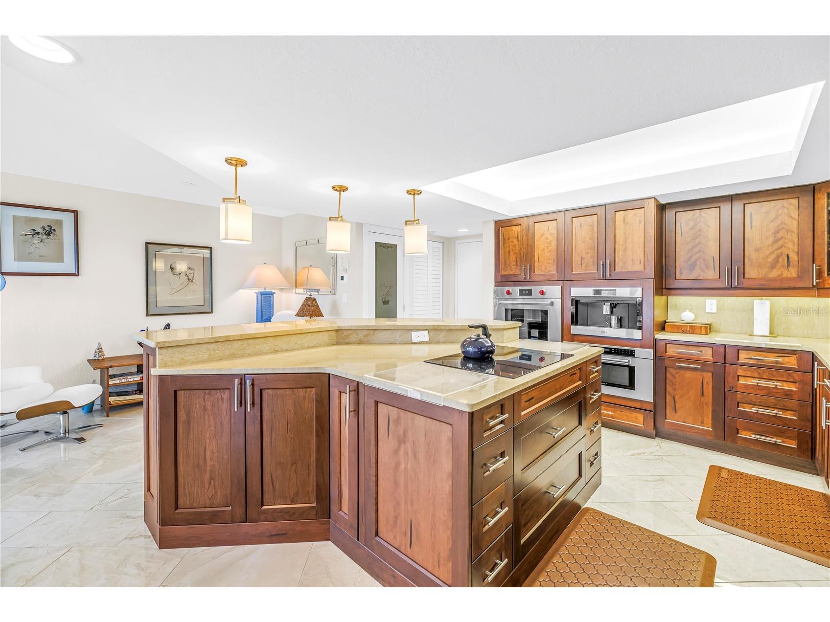 5220 Brittany Drive S #1510 Saint Petersburg FL 33715 TB8460563 image8