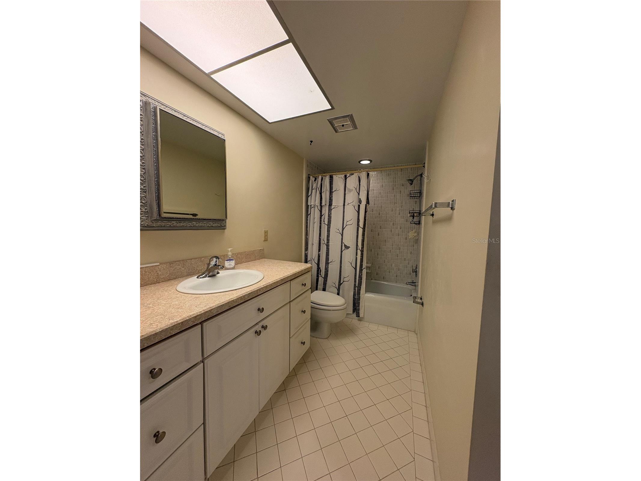 5220 Brittany Drive S #803 Saint Petersburg FL 33715 - TAMPA BAY TB8482521 image18