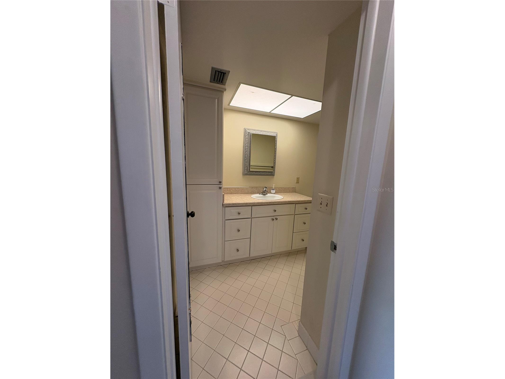 5220 Brittany Drive S #803 Saint Petersburg FL 33715 - TAMPA BAY TB8482521 image19