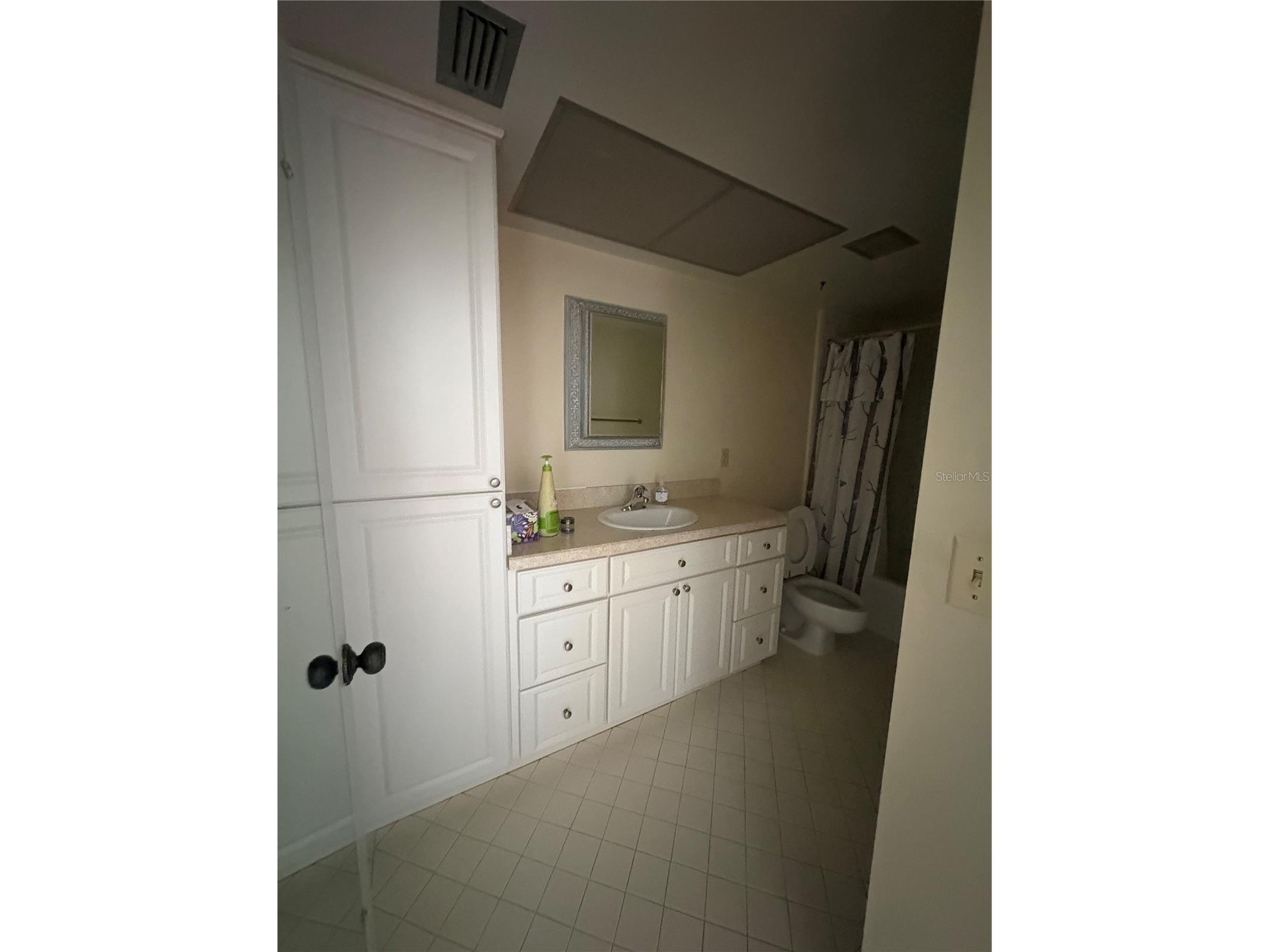 5220 Brittany Drive S #803 Saint Petersburg FL 33715 - TAMPA BAY TB8482521 image20