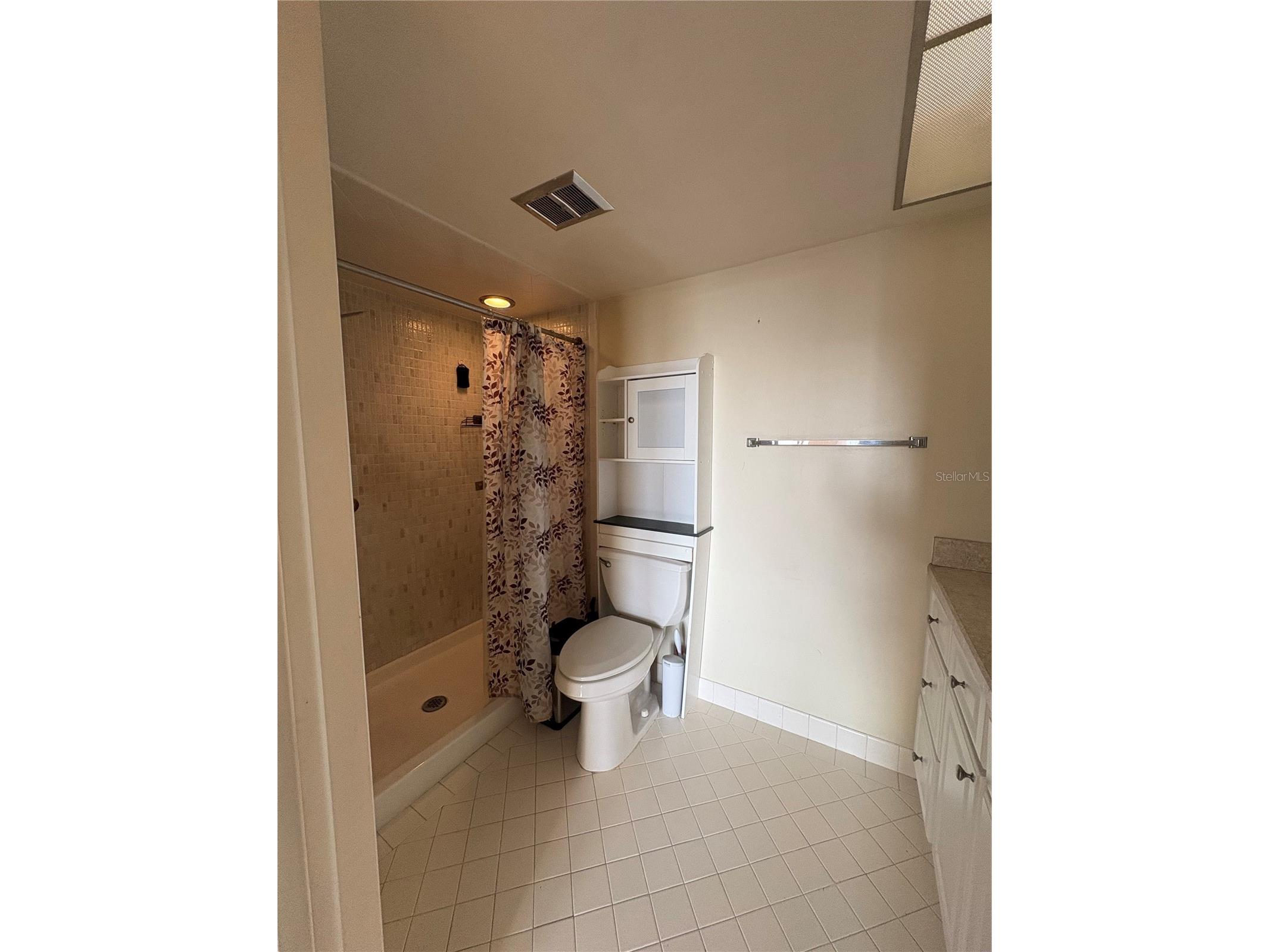 5220 Brittany Drive S #803 Saint Petersburg FL 33715 - TAMPA BAY TB8482521 image32