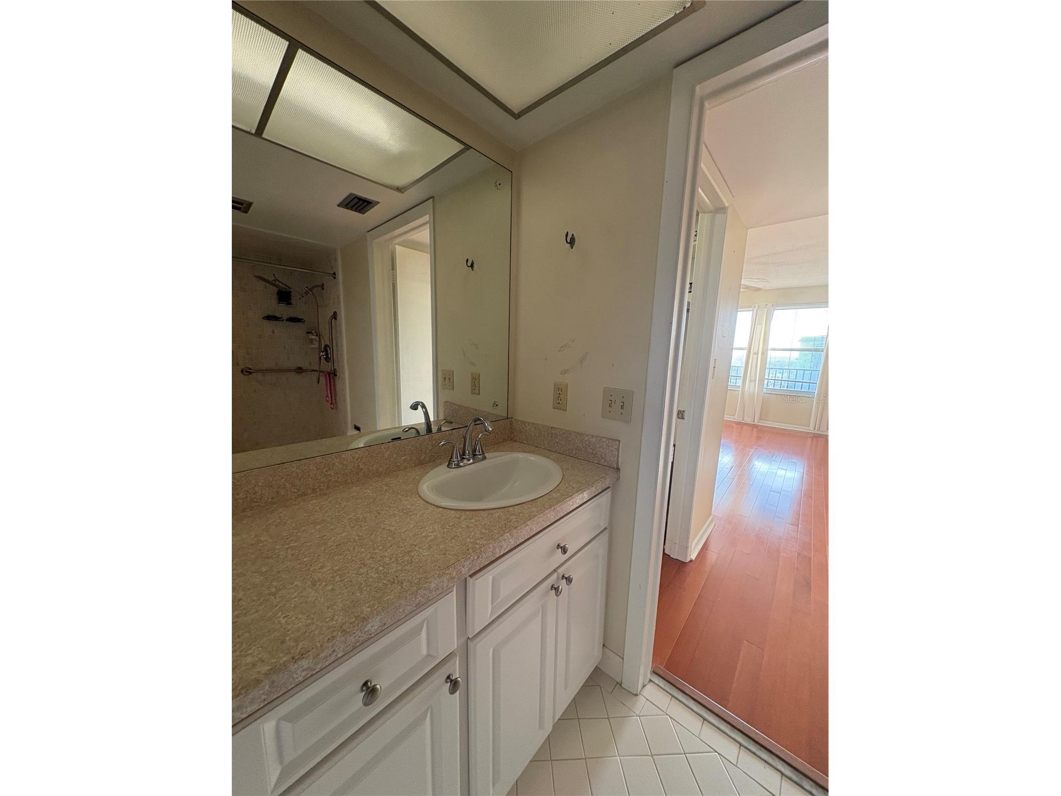 5220 Brittany Drive S #803 Saint Petersburg FL 33715 - TAMPA BAY TB8482521 image33